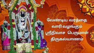 வேண்டிய வரத்தை அருளும் ஸ்ரீநிவாச பெருமாள்- Lord Srinivasa Thirukalyana Utsavam- Padmam