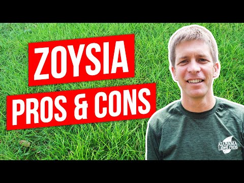 Video: Žádné starosti Trávníky s Zoysia Grass – zahradnické know how