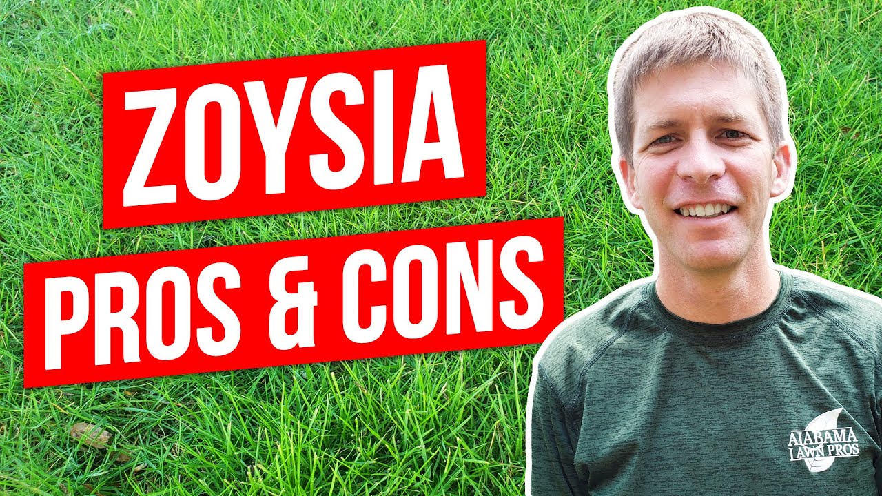 Zoysia Grass Lawn Pros, Cons, and Tips