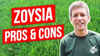 Zoysia Grass Lawn Pros, Cons, and Tips screenshot 2