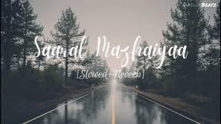 Saaral Mazhaiyaa | Album song | Slowed Reverb | Cover version | Remix | Wolf Beatz