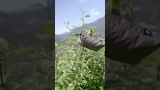 The Lightest Shooting Bag In The World, The Mdt Renegade