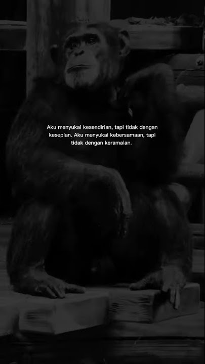 story wa keren kata kata|| aku menyukai kesendirian!! tapi tidak dengan kesepian