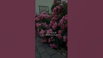 يوم الجمعة 💕 أجمل حالات واتس اب دينية قصيرة || قران كريم بصوت اسلام صبحي |إن الله وملائكته يصلون