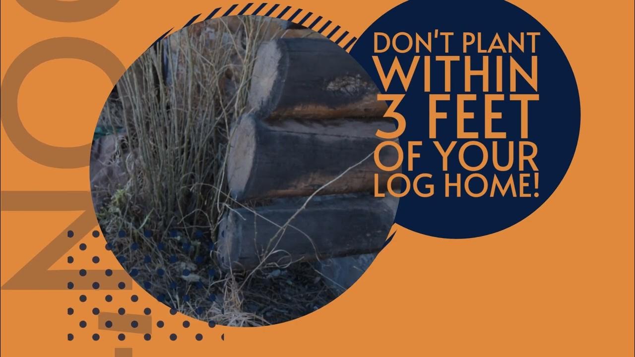 3-log-home-tips-from-trusted-experts-in-the-field-of-log-home