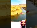 لحظة حبست الأنفاس هل كان الضبع يعتقد حقا أنه قادر على إسقاط ملك ا لايك 