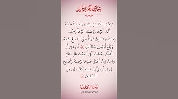 ﴿ ووصينا الإنسان بوالديه إحسانا ﴾ ، تلاوة تثلج الصدر بصوت الشيخ #سعد_الغامدي #قران_كريم