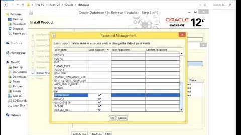 Oracle DataBase 12c Installation on Windows 8.0 or 8.1 Video 4