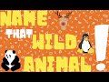 Animal Guessing Game Quiz