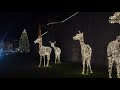 A hyperlapse of Cardiff's Christmas lights after dark