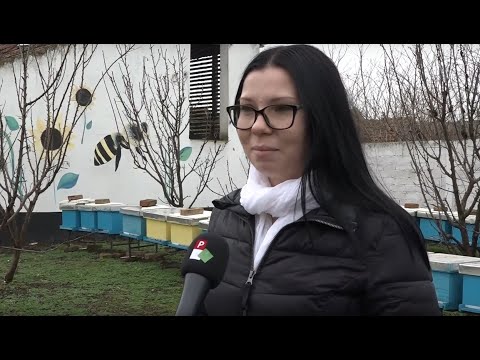 Lőrinc Tamara, méhész – Torda