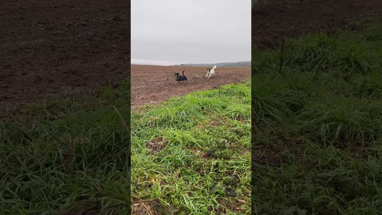 Wo ist die Sonne hin 🫩 