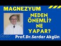 Besin Takviyesi, Magnezyum, Prof.Dr.Serdar Akgün, Sağlıklı Yaşam, Sağlık Haberleri