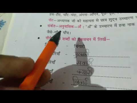 5th class homework in hindi