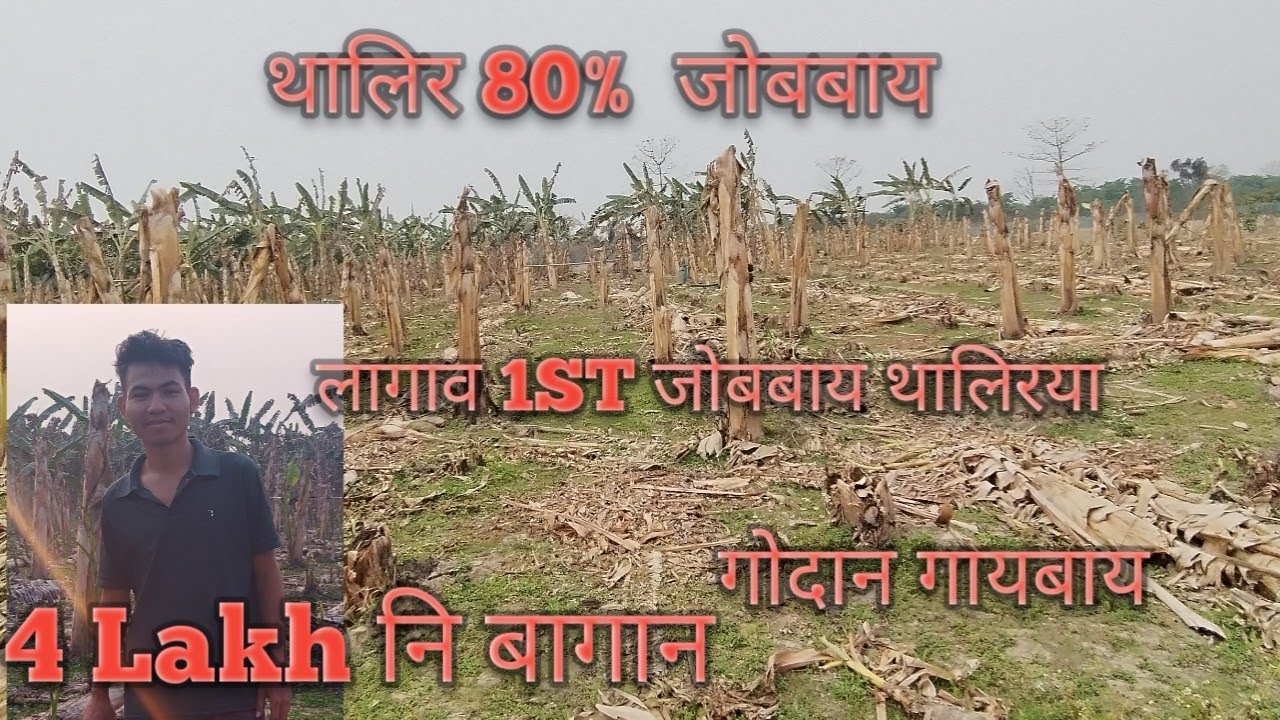 Nwi Raijwpwr Talir Jwbbai | Gwdan Gaibai @ThulungaBaro-l7y 