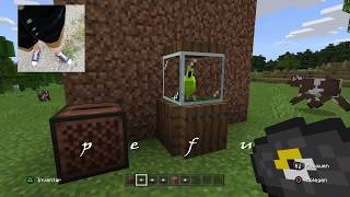 Minecraft Tutorial Papageien Käfig bauen