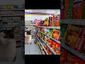 Karena ini gw males jajan di Indomaret #kucing #kucinglucu #kucingmeme #meme #shorts #memes