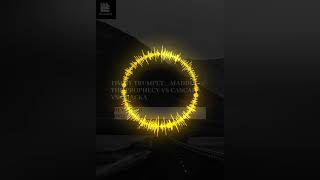 Timmy Trumpet _ Maddix - The Prophecy vs Cascada vs chacka (Maddix mashup)