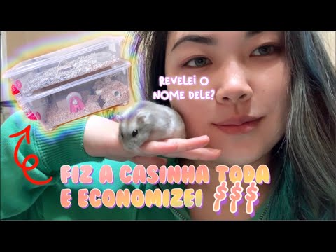 Video: Casă De Hamster DIY