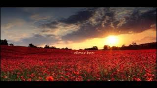 Download lagu PASĂREA COLIBRI Scrisoare de bun rămas