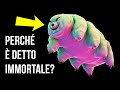 34 Curiosità Che Non Potrai Più Dimenticare