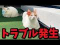 ちょっと予期せぬ困ったトラブルが発生してしまいました…