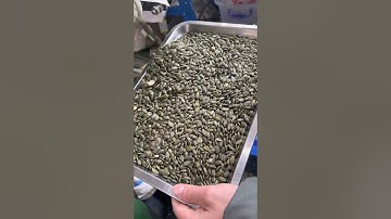 ZhongKe AMD Deep-Learning Machine For Pumpkin Seeds Sorting(Reject White Edge)