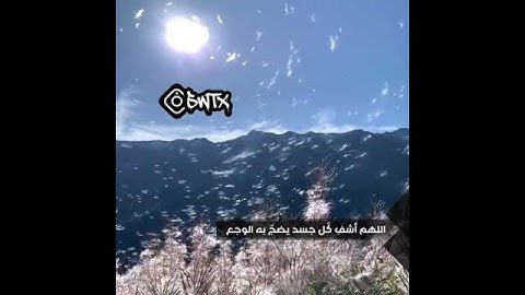 أجمل حالات واتس قرآن كريم تجعلك ترتاح نفسياً