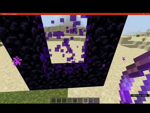 Better Portal Opening 1.16.3 Forge Mod Overview