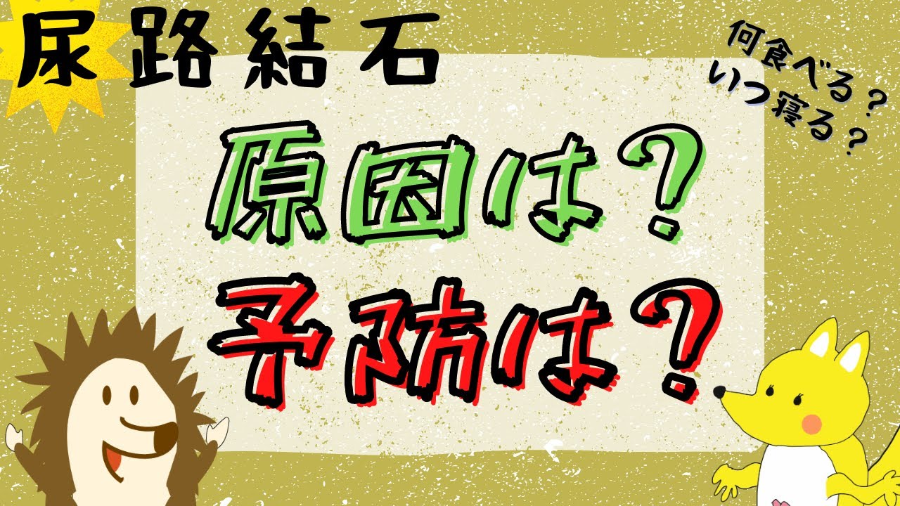 【いまさら聞けない#7】尿路結石の原因って？再発予防の方法は？