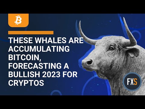 These whales are accumulating Bitcoin, forecasting a bullish 2023 for cryptos