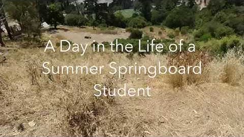 Summer Springboard UC Berkeley A Day in the Life
