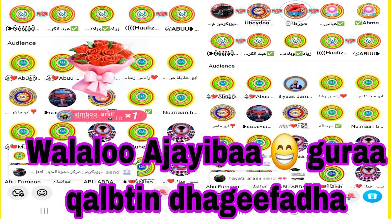 Walaloo Ustaazota markazaa imotif walalefame mashaa Allah 