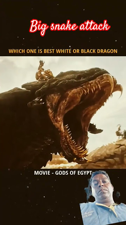 Big snake attack #Gods of Egypt #movie scene#action#viral#