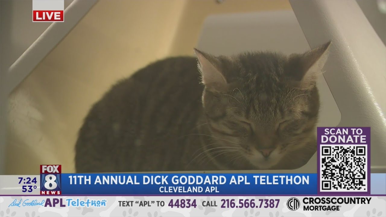 Kickin' it: 11th annual Dick Goddard APL telethon