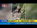 直擊苗栗南庄土石坍方道路中斷！族人搭流籠自嘲回到石器時代｜三立新聞LIVE