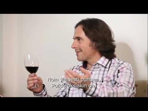 Video: 11 Kulttuuritotuutta Saksalaisen Viinin Takana