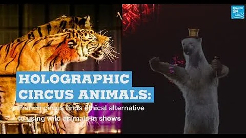 Holographic circus animals: French circus finds ethical alternative to using wild animals in shows