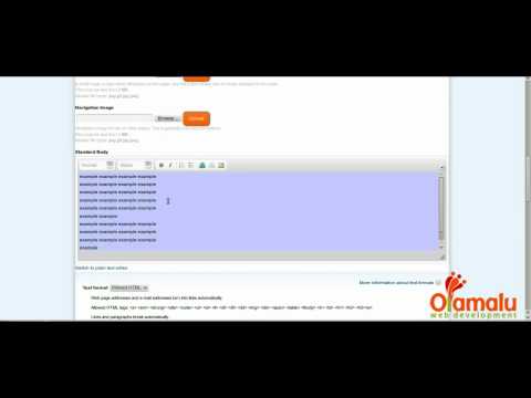Olamalu - Inserting an Image into a Text Field in Drupal 7