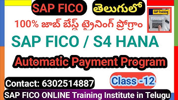 Auto Matic Payment Program APP Configuration in Telugu FICO SAP - SAP FICO Telugu