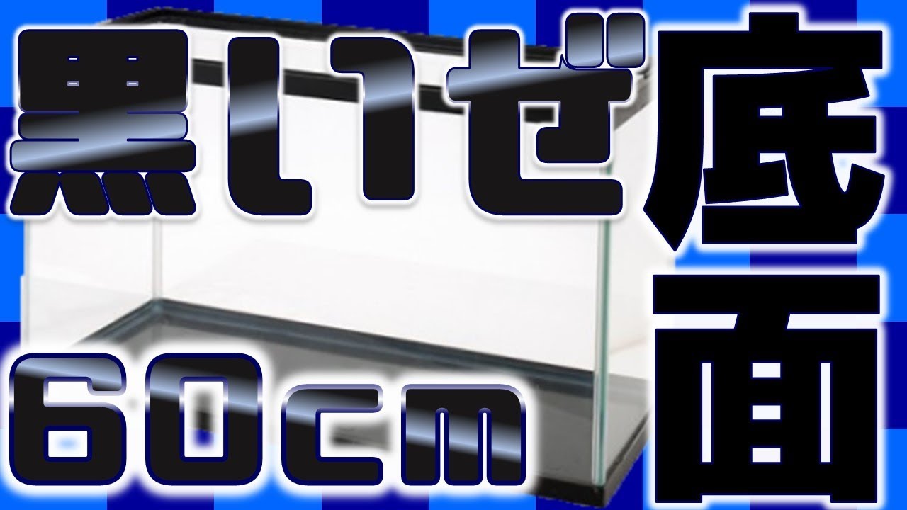 底が黒い60cm水槽を解説。GEXは分かっている。俺が欲しい水槽をな