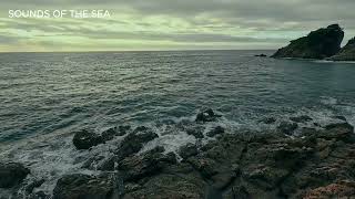 Coastal Harmony: Waves, Rocks, and Seabird Sanctuaries by Sounds of the Sea 132 views 2 weeks ago 20 minutes