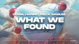 DJSM x Hanno x Felix Samuel - What We Found [ Visualizer]