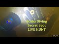 Scuba diving secret spot live hunt  treasure hunting  stillfin