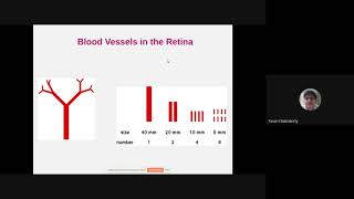 20. Graphics and Visual Computing – Fractals