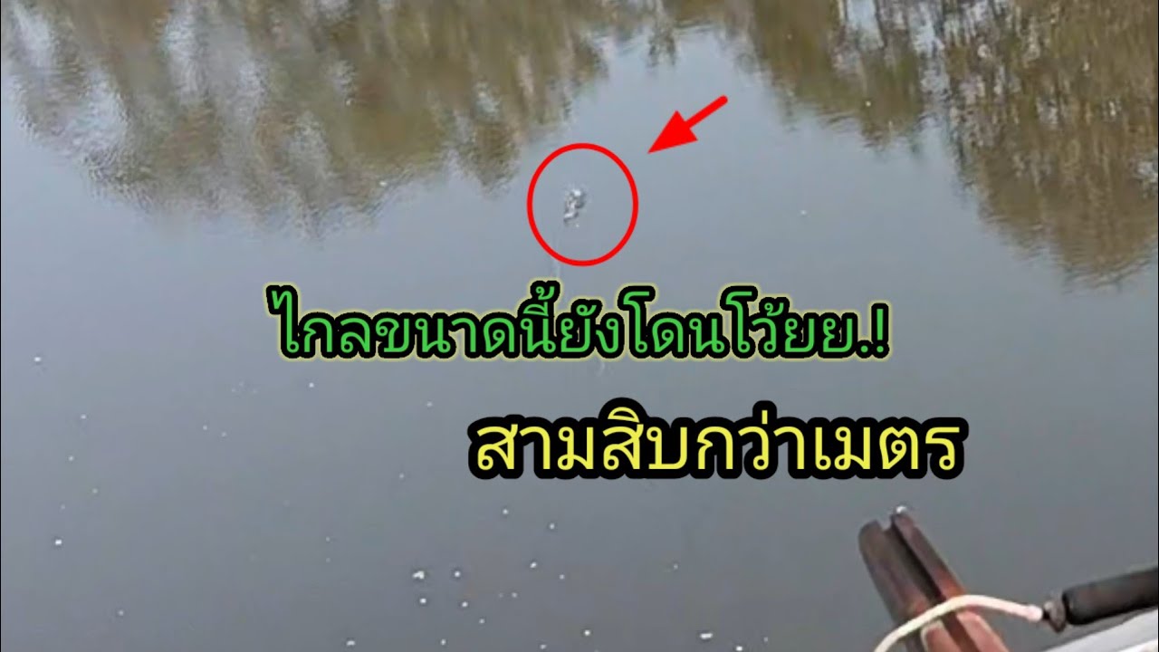 ไกลขนาดนี้ยังโดนโว้ยย.! สามสิบกว่าเมตร.