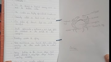 #M.Sc. #Zoology practical file of #First #sem according to #NEP #ccsu all 4 papers are in this video