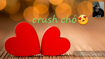 Crush chó (NKN)SHANKS