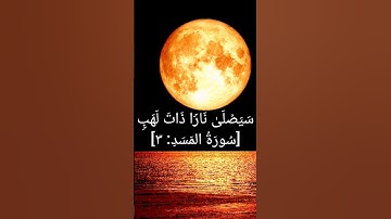 سورة المسد
