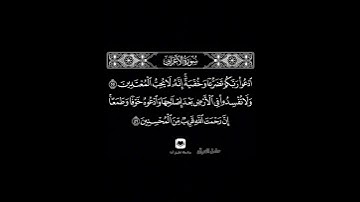 ادعوا ربكم تضرعا وخفية إنه لا يحب المعتدين  #سورة_الأعراف #ماهر_المعيقلي #حامل_القرآن #إسلاميات #مكة